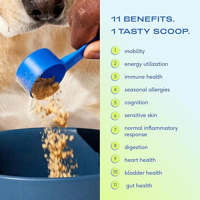 Native Pet Dog Vitamins & Supplements - 11-in-1 Multivitamin Powder for Dogs Food Topper - Collagen, Glucosamine, Probiotics, Omega & More- Supports Healthy Gut, Mobility & Overall Health -60 Scoops