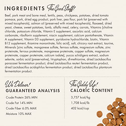 Fromm Large Breed Puppy Gold Premium Dry Dog Food - Dry Puppy Food for Large Breeds - Chicken Recipe - 30 lb
