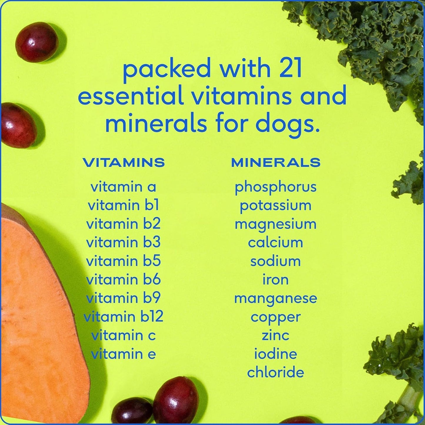 Native Pet Dog Vitamins & Supplements - 11-in-1 Multivitamin Powder for Dogs Food Topper - Collagen, Glucosamine, Probiotics, Omega & More- Supports Healthy Gut, Mobility & Overall Health -60 Scoops